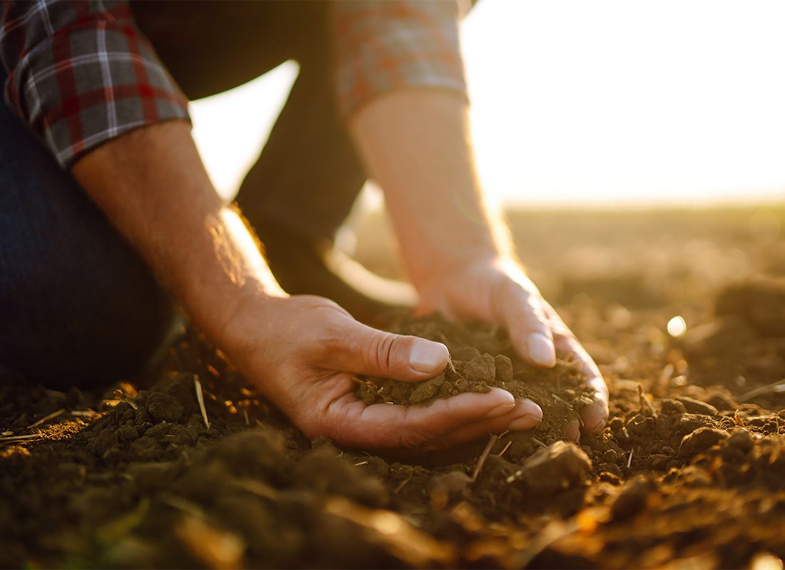 Agriculture - Closeup View of a Farmer Holding Dirt in his Hands on his Farm Field During Sunset to Inspect the Health of the Soil